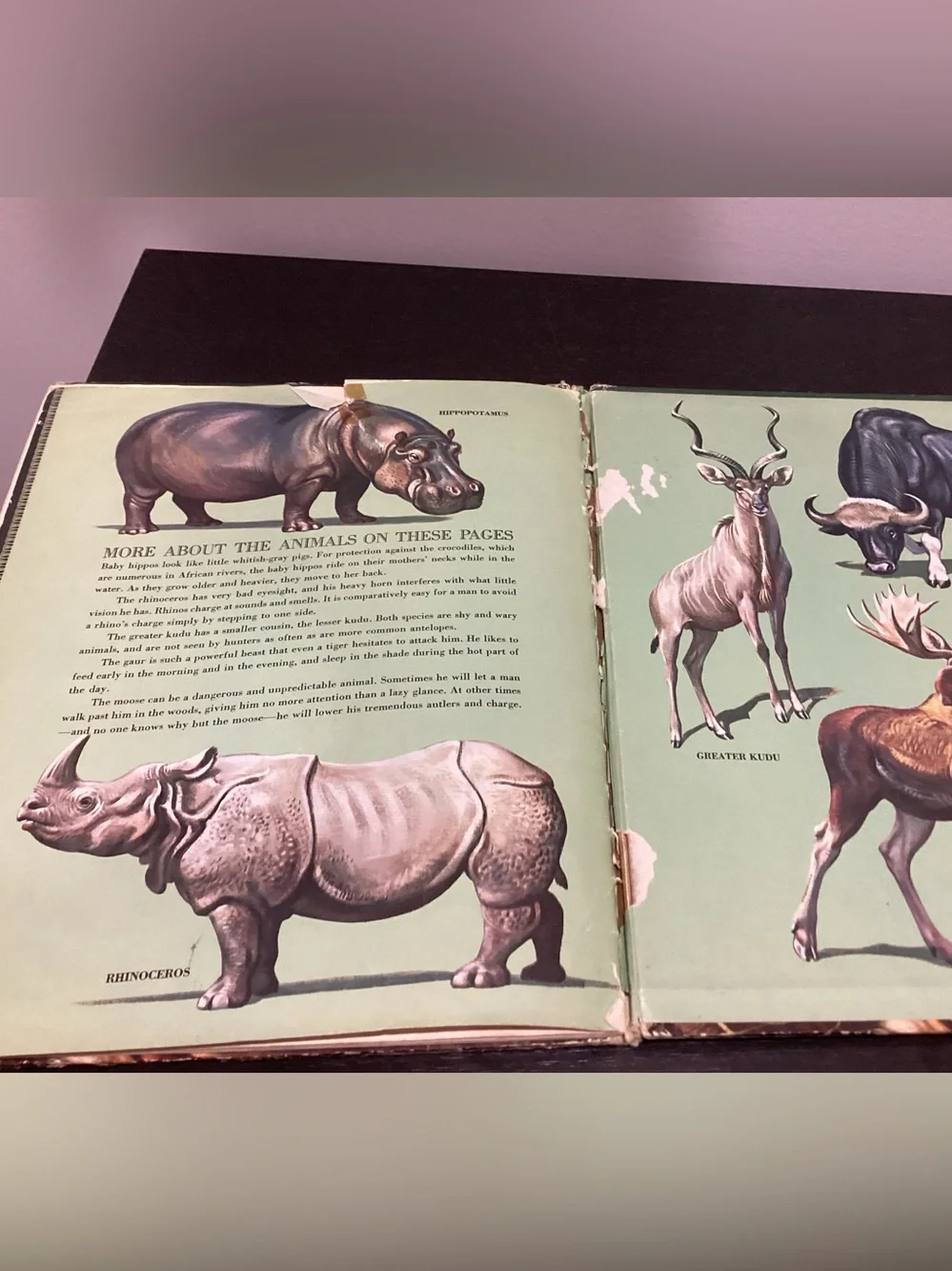 Vtg.Children’s Hardcover book Titled The Big Book of Wild Animals by Felix Sutto
